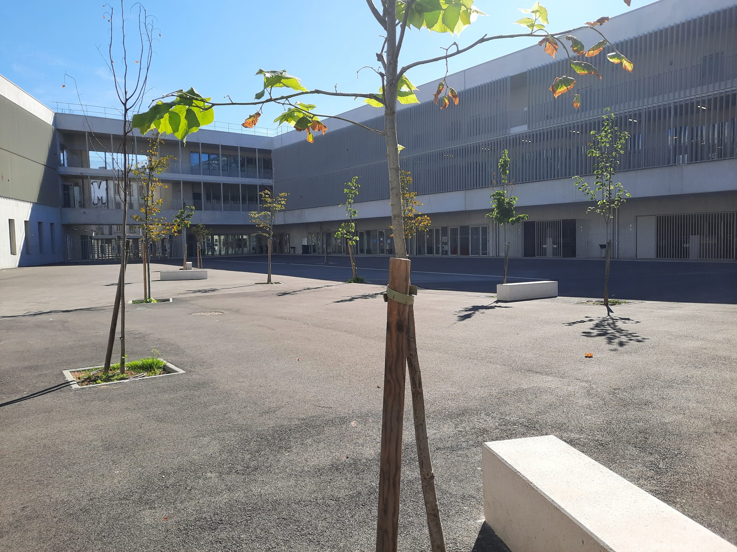 Construction du Collège Versailles, réalisation de la cour d'école, d'un stade, et création d'une place et d'une voie de contournement Construction du Collège Versailles, réalisation de la cour d'école, d'un stade, et création d'une place et d'une voie de contournement